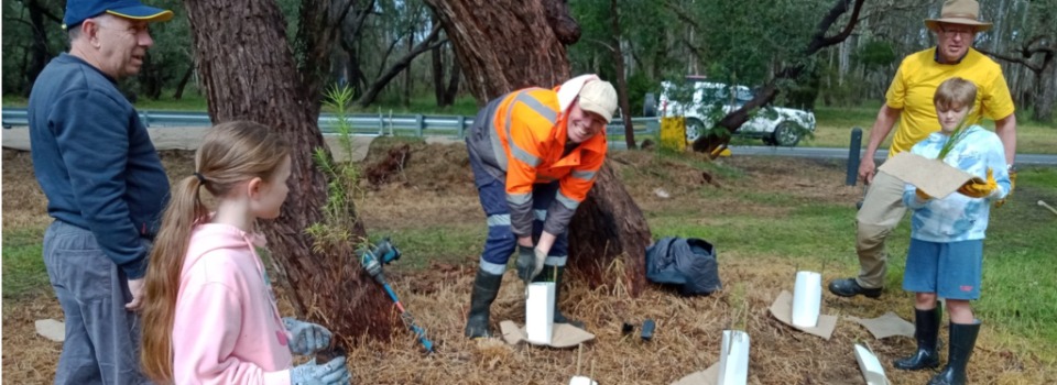 Pakenham-Service-Project